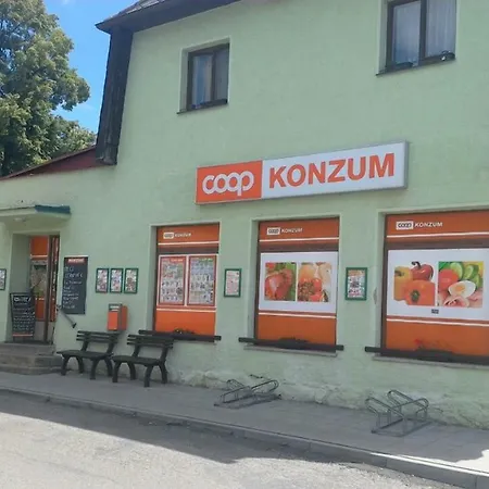 Apartman Srni Διαμέρισμα Srní