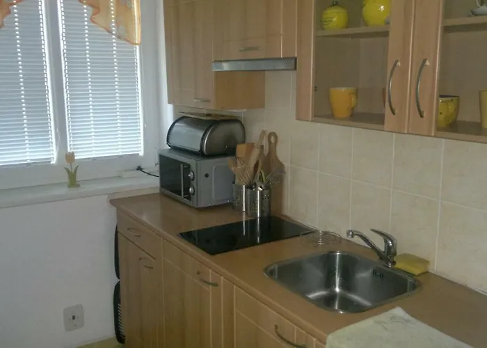 Apartman Srni סרני